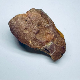 Raw Amber Stone Natural Amber, Genuine Baltic Amber