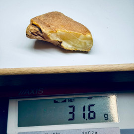 🎥 Raw Amber Unprocessed Stone Natural Amber