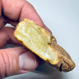 Raw Amber Unprocessed Stone Natural Amber