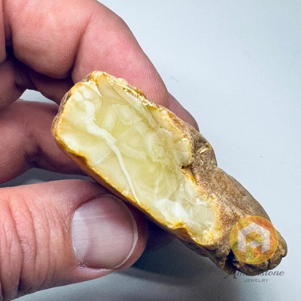 Raw Amber Unprocessed Stone Natural Amber