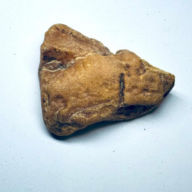 🎥 Raw Amber Unprocessed Stone Natural Amber