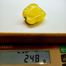 🎥 
Raw Amber Stone Natural Amber