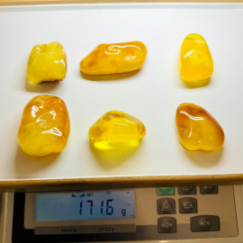 Raw Amber Set Stone Natural Baltic Amber