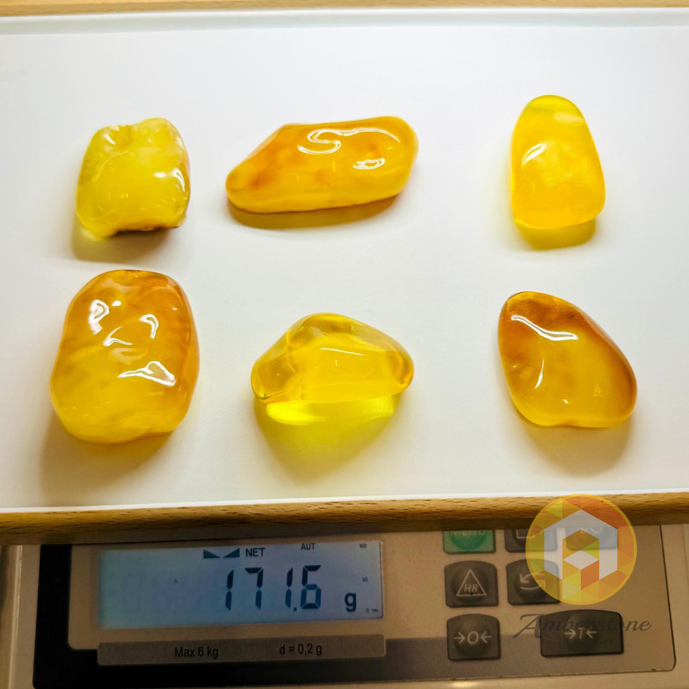 Raw Amber Set Stone Natural Baltic Amber