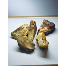 Raw Amber Set Stone Natural Baltic Amber