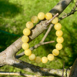 Genuine Baltic Yellow Baltic Amber bracelet beads 16mm
