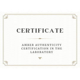 خدمة شهادة المختبر