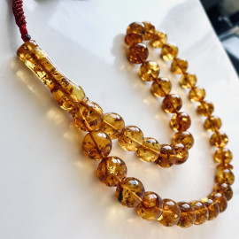 Baltic Amber Tespih Cognac With Shell Color Misbaha 33 Beads
