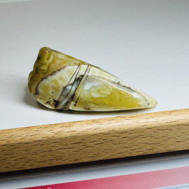 Raw Baltic Amber Stone, Natural Unpolished Irregular Amber Lump