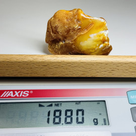 Raw Baltic Amber Stone, Natural Unpolished Irregular Amber Lump