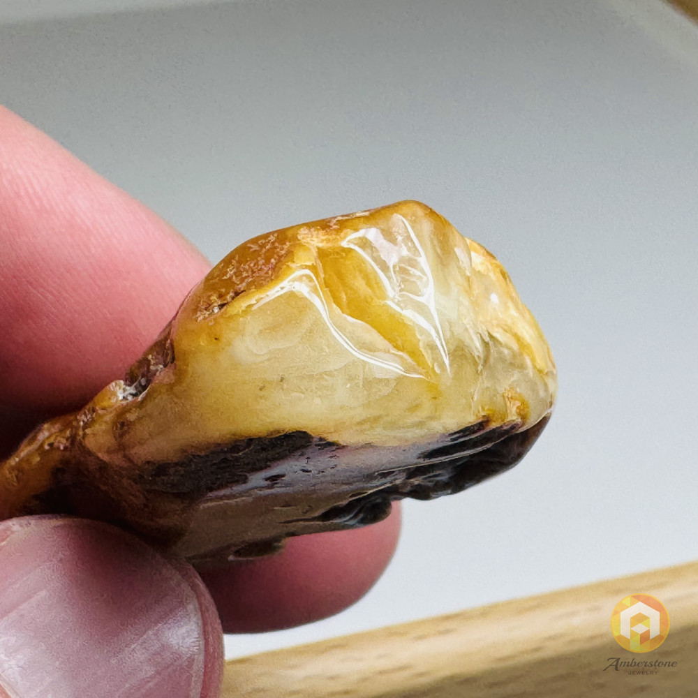 Raw Baltic Amber Stone, Natural Unpolished Irregular Amber Lump