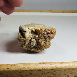 Raw Baltic Amber Stone, Natural Unpolished Irregular Amber Lump