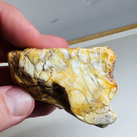 Raw Baltic Amber Stone, Natural Unpolished Irregular Amber Lump