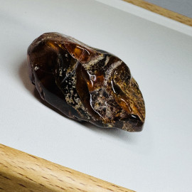 Raw Baltic Amber Stone, Natural Unpolished Irregular Amber Lump