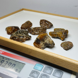 Set Raw Baltic Amber Stone, Natural Unpolished Irregular Amber Lump