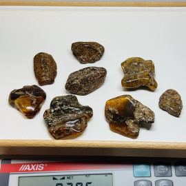 Set Raw Baltic Amber Stone, Natural Unpolished Irregular Amber Lump