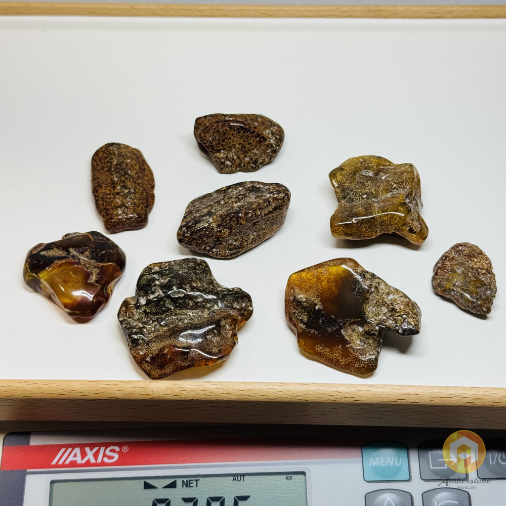 Set Raw Baltic Amber Stone, Natural Unpolished Irregular Amber Lump