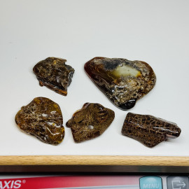 Set Raw Baltic Amber Stone, Natural Unpolished Irregular Amber Lump