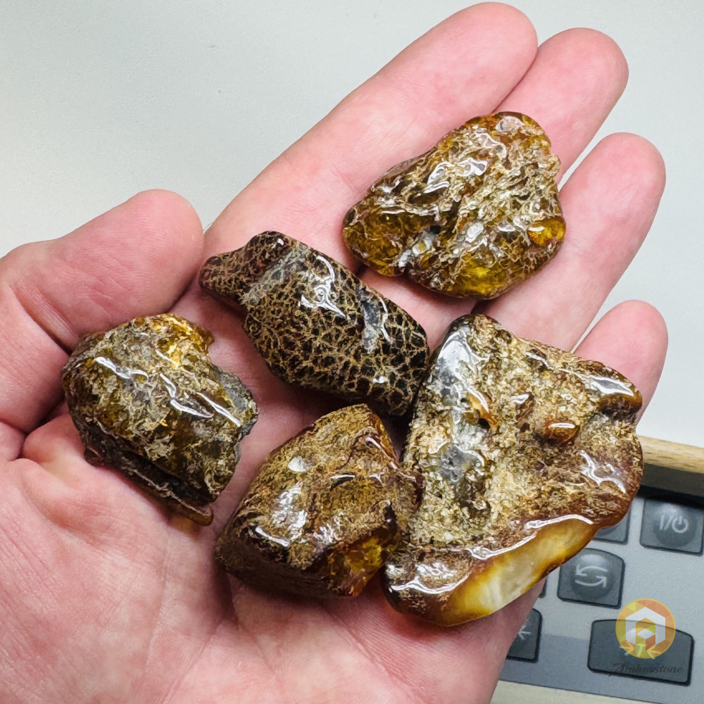 Set Raw Baltic Amber Stone, Natural Unpolished Irregular Amber Lump