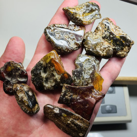 Set Raw Baltic Amber Stone, Natural Unpolished Irregular Amber Lump