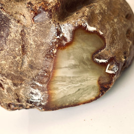 Raw Baltic Amber Stone, Natural Unpolished Irregular Amber Lump 292 g