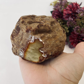 NEW Raw Baltic Amber Stone, Natural Unpolished Irregular Amber Lump