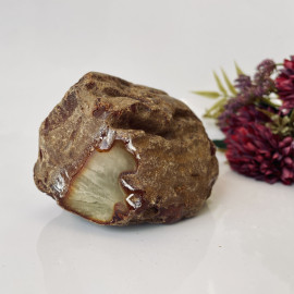 Raw Baltic Amber Stone, Natural Unpolished Irregular Amber Lump