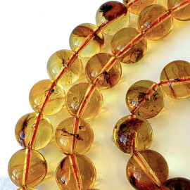Insect Inclusions Baltic Amber Misbaha, Natural Amber Prayer Beads with Insects