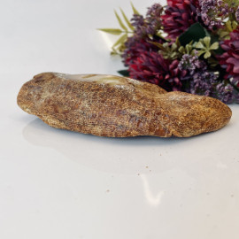 Raw Baltic Amber Stone, Natural Raw Solid Amber Poland Stone