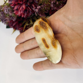 Authentic Raw Baltic Amber Stone sourced from Poland
