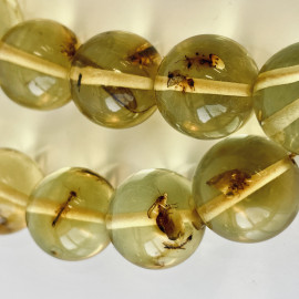 Amber Insect Prayer Beads, 33 Beads 14mm Natural Baltic Amber Misbaha