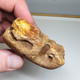 Raw Baltic Amber Stone, Natural Poland Raw Amber Lump