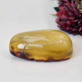 🎥 Natural Baltic Amber Stone, Polished Amber for Collection or Jewelry