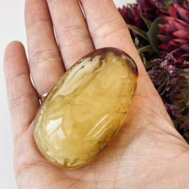 🎥 Natural Baltic Amber Stone, Polished Amber for Collection or Jewelry