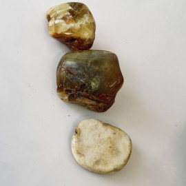 Raw Baltic Amber Stone, Set Natural Amber Lump