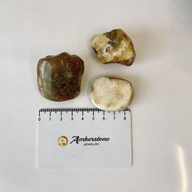 Raw Baltic Amber Stone, Set Natural Amber Lump