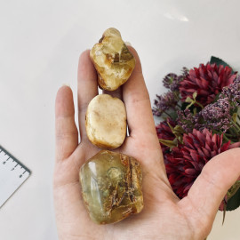Raw Baltic Amber Stone, Set Natural Amber Lump