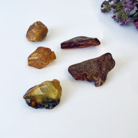 Raw Baltic Amber Stone, Set Natural Amber Lump