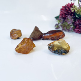 Raw Baltic Amber Stone, Set Natural Amber Lump