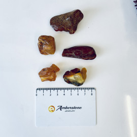 Raw Baltic Amber Stone, Set Natural Amber Lump
