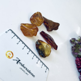 Raw Baltic Amber Stone, Set Natural Amber Lump