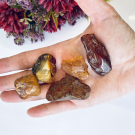 Raw Baltic Amber Stone, Set Natural Amber Lump