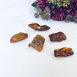 Raw Baltic Amber Stone, Set Natural Amber Lump