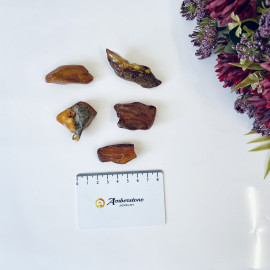 Raw Baltic Amber Stone, Set Natural Amber Lump