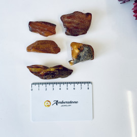 Raw Baltic Amber Stone, Set Natural Amber Lump