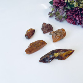 Raw Baltic Amber Stone, Set Natural Amber Lump