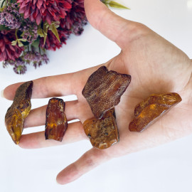 Raw Baltic Amber Stone, Set Natural Amber Lump