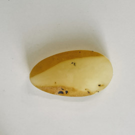 Raw Baltic Amber Stone, Natural Amber Bead for Collecting